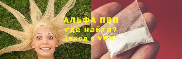 сатива Каменногорск