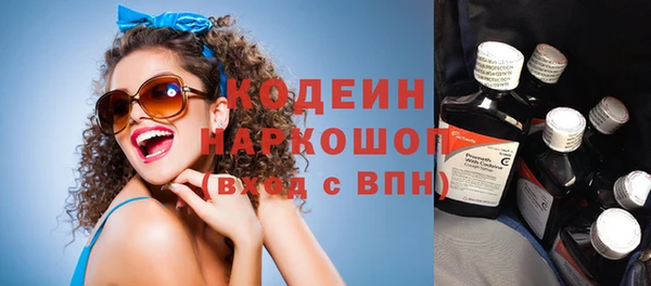 ПСИЛОЦИБИНОВЫЕ ГРИБЫ Каменка