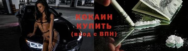 сатива Каменногорск