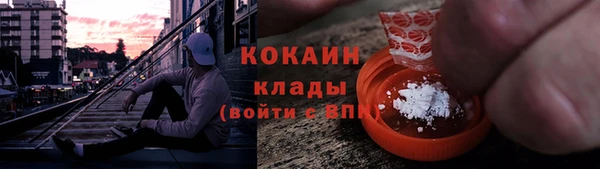 сатива Каменногорск