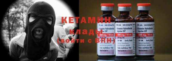 сатива Каменногорск