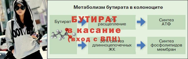 сатива Каменногорск