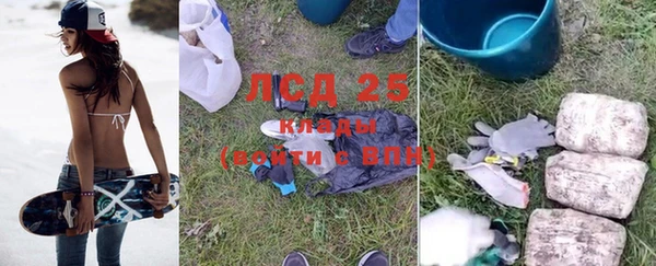 ПСИЛОЦИБИНОВЫЕ ГРИБЫ Каменка