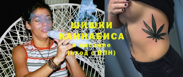 сатива Каменногорск