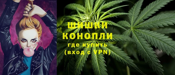 ПСИЛОЦИБИНОВЫЕ ГРИБЫ Каменка