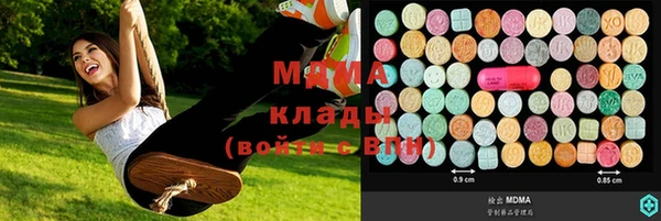 ПСИЛОЦИБИНОВЫЕ ГРИБЫ Каменка