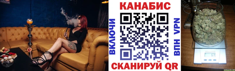 Купить закладки  Грайворон  Бошки Шишки гибрид 
